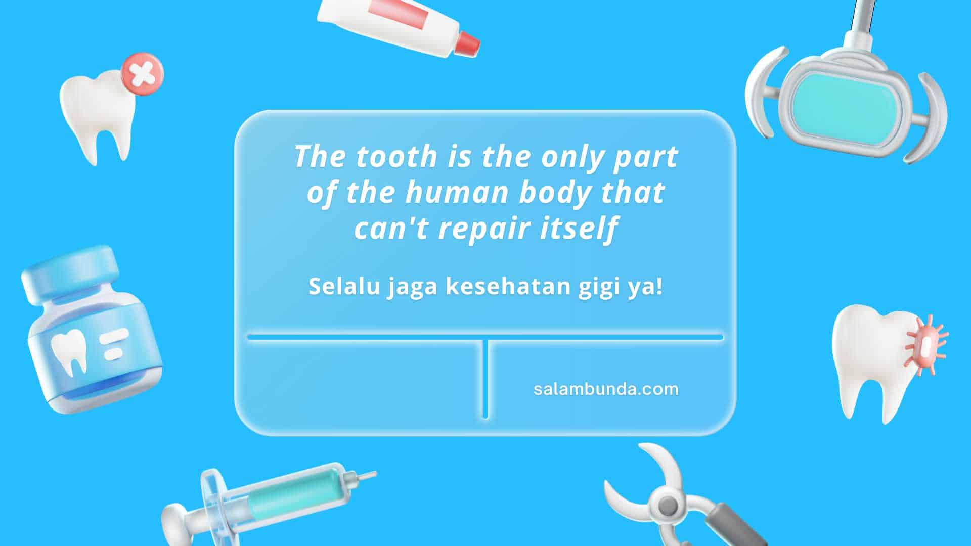 quote menjaga kesehatan gigi